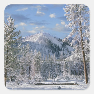 Winter im Yellowstone Nationalpark, Wyoming Quadratischer Aufkleber