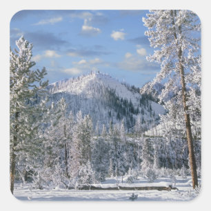 Winter im Yellowstone Nationalpark, Wyoming Quadratischer Aufkleber