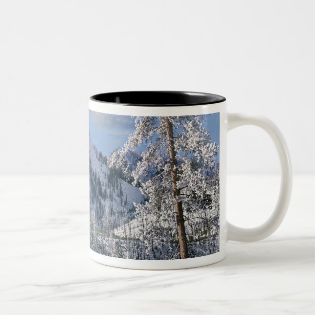 Winter im Yellowstone Nationalpark, Wyoming Zweifarbige Tasse (Rechts)