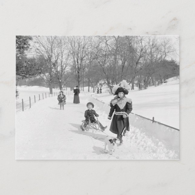 Winter im Zentralpark, 1900 Postkarte (Vorderseite)