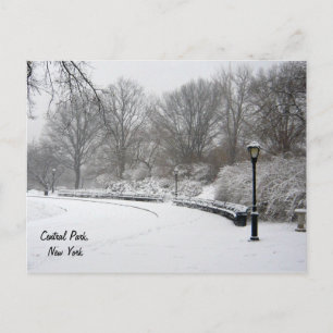Winter im Zentralpark Postkarte
