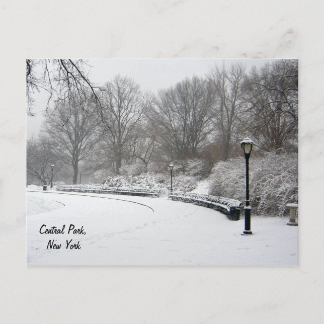 Winter im Zentralpark Postkarte (Vorderseite)