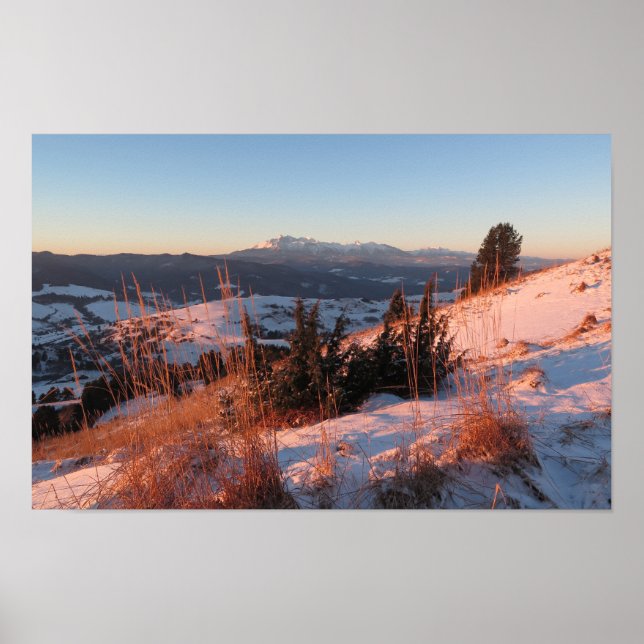 Winter in den Bergen von Pieniny Poster (Vorne)