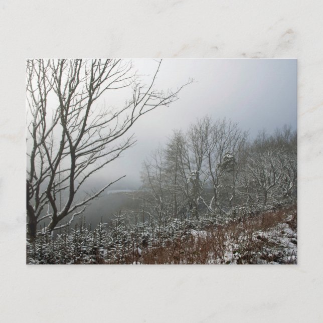 Winter in der Macclesfield-Waldkarte Postkarte (Vorderseite)