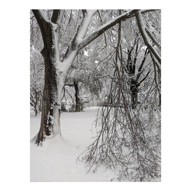 Winter in Lafayette Square, Washington, DC Fotodruck (Vorne)