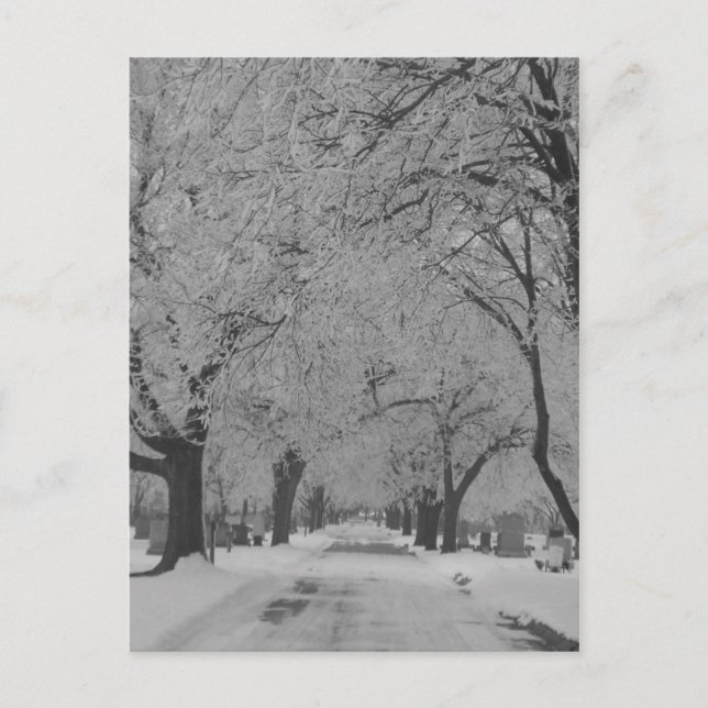 Winter in Nebraska Postkarte (Vorderseite)