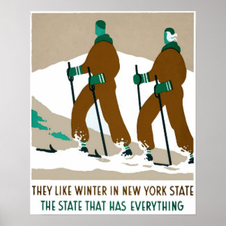 Winter in New York Staat Travel Poster