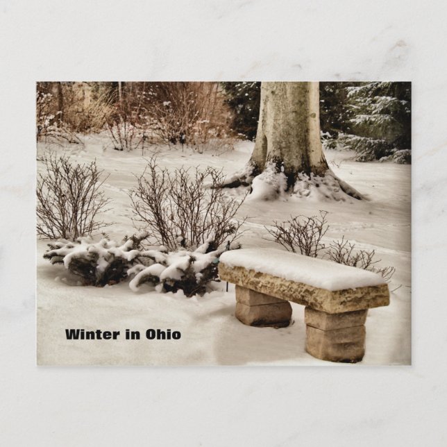 Winter in Ohio Postkarte (Vorderseite)