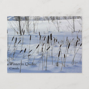 Winter in Quebec, Kanada Postkarte