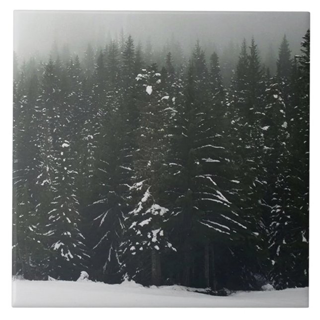 Winter in the Mountain Forest Fliese (Vorderseite)