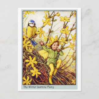 Winter-Jasmin-Fee Postkarte