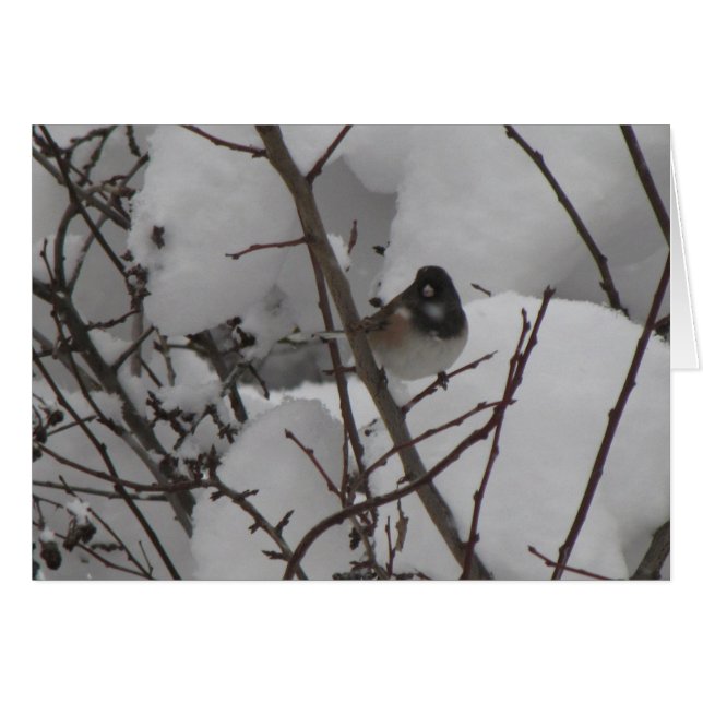 Winter Junko Karte (Vorderseite (Horizontal))
