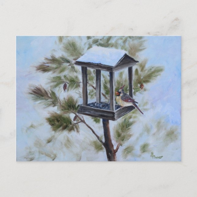 Winter Kardinal Besucher Postkarte (Vorderseite)