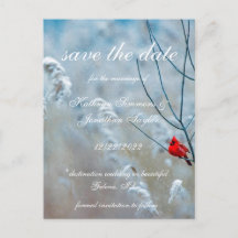 Winter Kardinal Save the Date Einladung