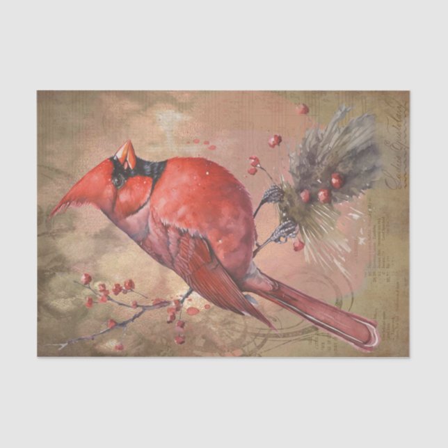 Winter Kardinal Seidenpapier (Vorderseite)