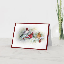Winter Kardinals Weihnachtskarte Feiertagskarte