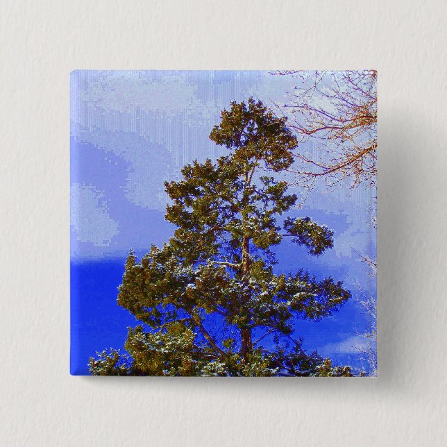 Winter-Kiefernknopf Button (Vorderseite)