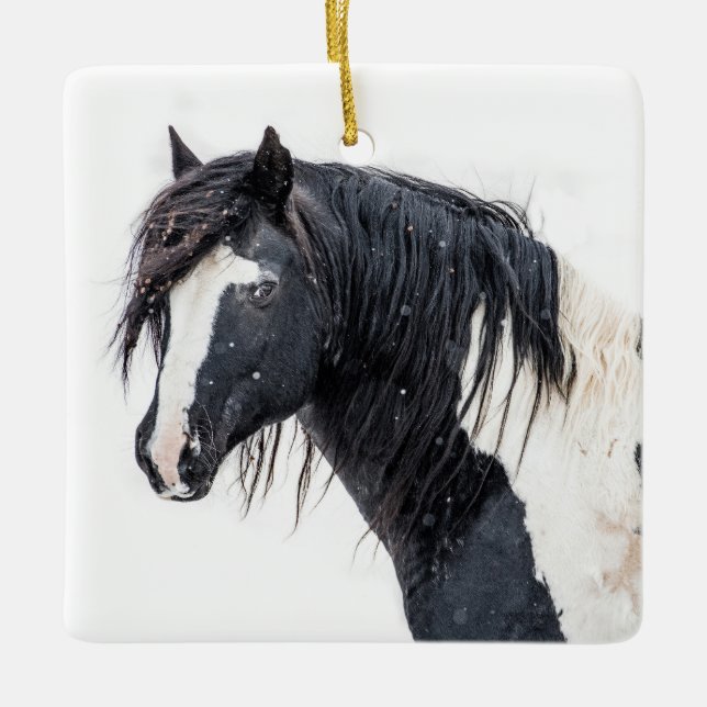 "Winter King" Washakie Ornament (Vorderseite)