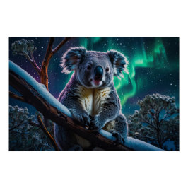 Winter Koala und Südlichter Poster