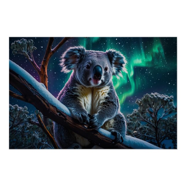 Winter Koala und Südlichter Poster (Vorderseite)