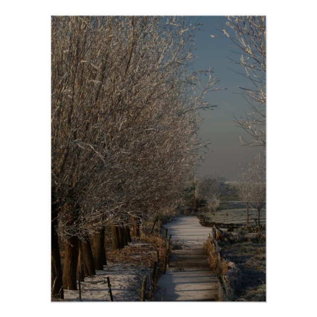 Winter landscape  poster (Vorderseite)