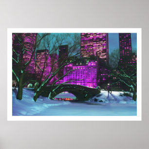 Winter Landschaft Central Park New York Poster