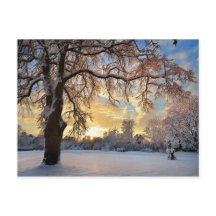 Winter-Landschaft in Lettland