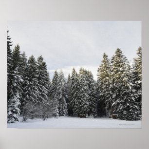 Winter-Landschaft nahe Koenigsfeld, Schwarzwald, Poster