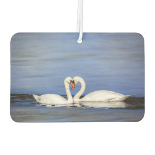 Winter-Liebe-Schwan-Luft-Erfrischungsmittel Autolufterfrischer