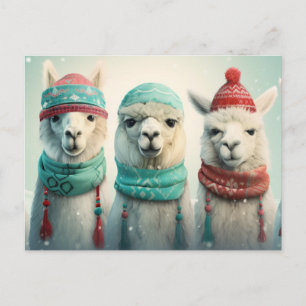 Winter Llamas Feiertagspostkarte