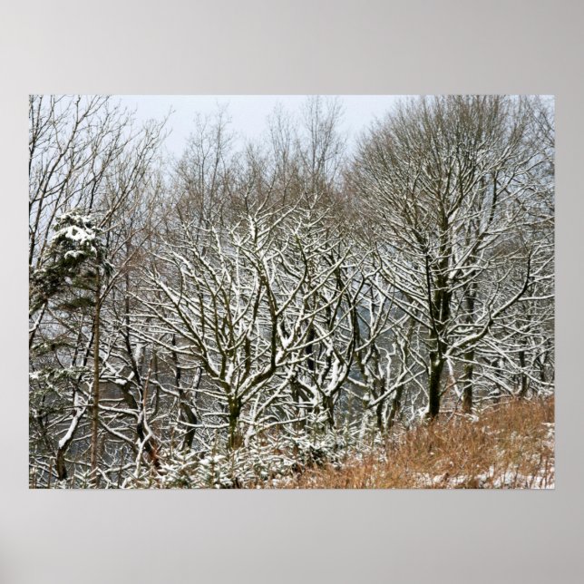 Winter Macclesfield Forest Card Canvas Print Poster (Vorne)