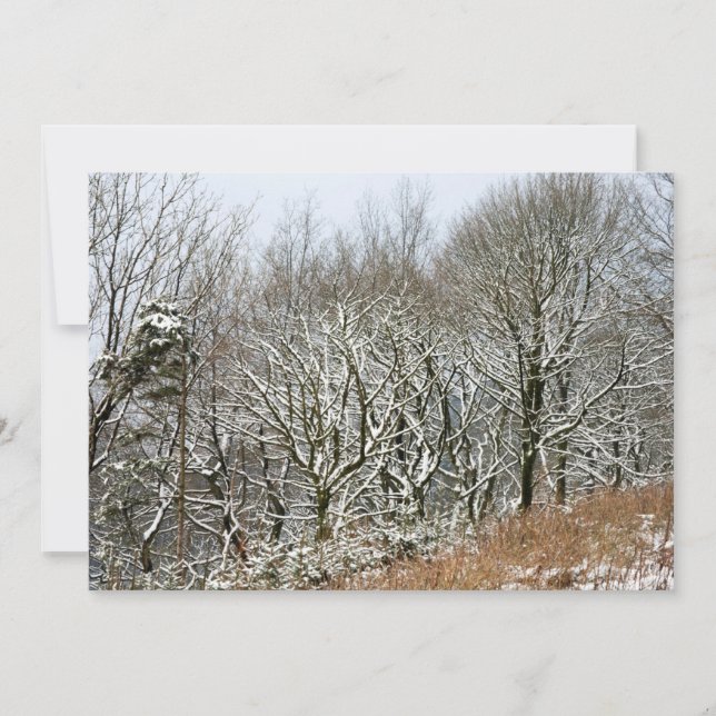 Winter Macclesfield Forest Card Dankeskarte (Vorderseite)