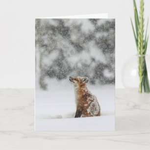 "Winter Magic"-Urlaubskarte Karte