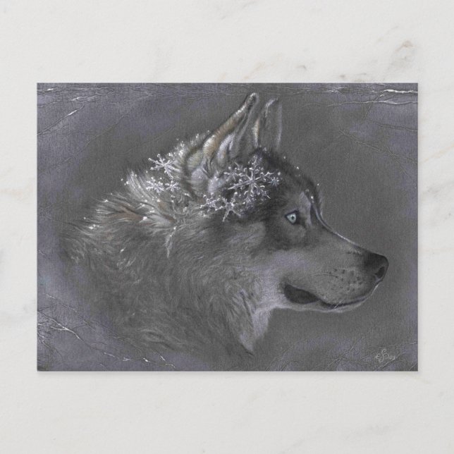 Winter Maker Postkarte (Vorderseite)