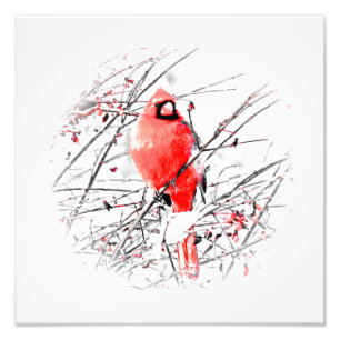WINTER MALE KARDINAL FOTODRUCK