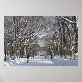 Winter Mall Central Park Poster
