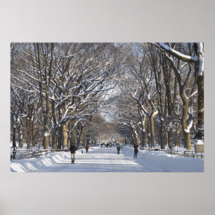 Winter Mall Central Park Poster