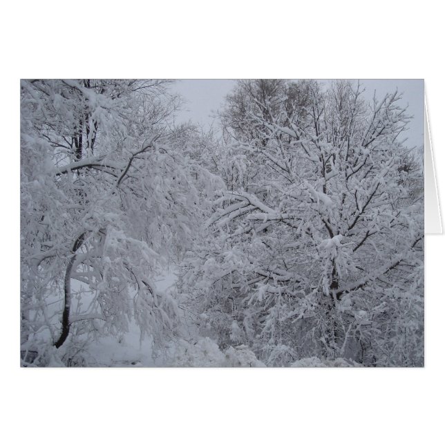 Winter-Märchenland (Vorderseite (Horizontal))