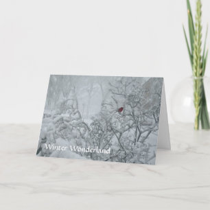 Winter-Märchenland Feiertagskarte