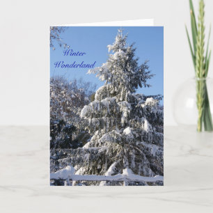 Winter-Märchenland Feiertagskarte