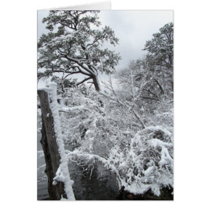 Winter-Märchenland II