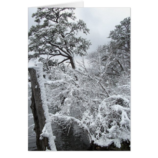 Winter-Märchenland II (Vorne)