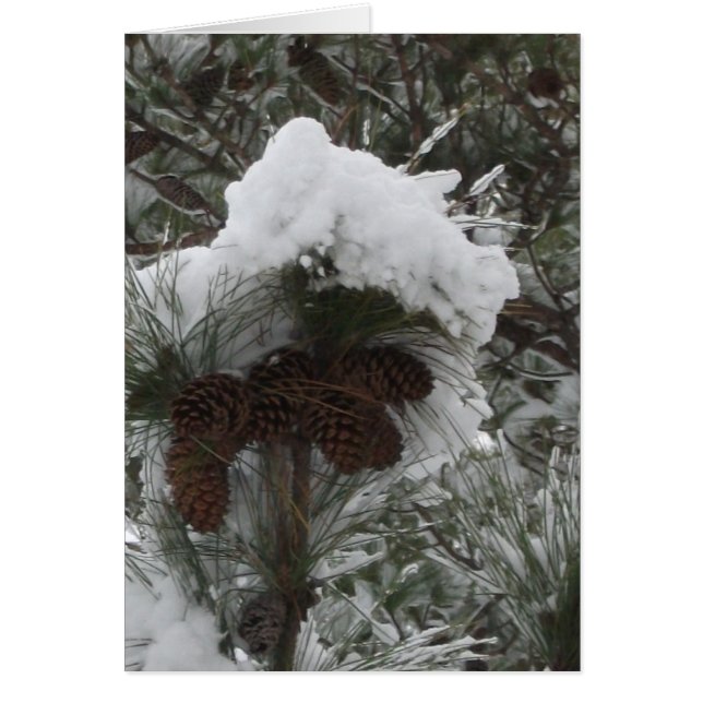 Winter-Märchenland III (Vorne)