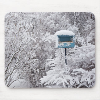 Winter-Märchenland Mousepad