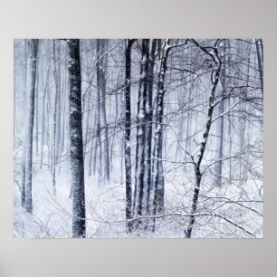 Winter-Märchenland Poster