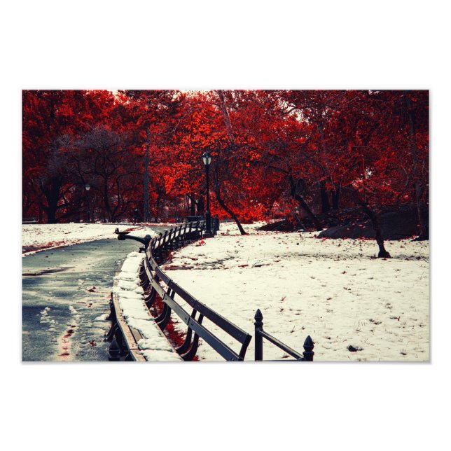 Winter Meetings Herbst im Central Park, NYC Fotodruck (Vorne)