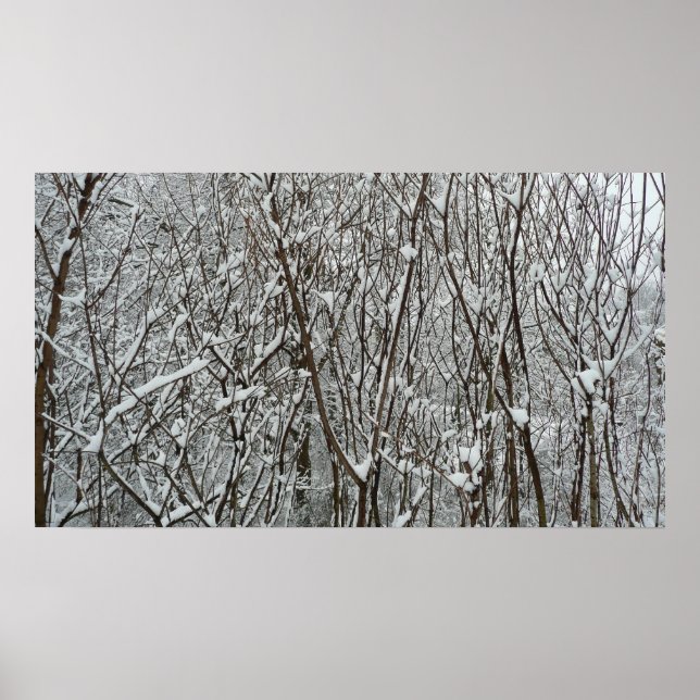 Winter mit schneebedeckten Branchen Poster (Vorne)