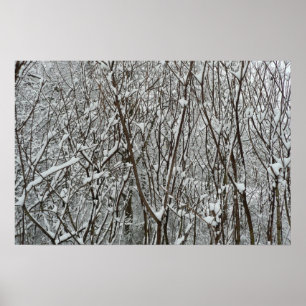 Winter mit schneebedeckten Branchen Poster