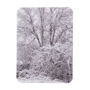 Winter mit schneebedeckter Landschaft Magnet
