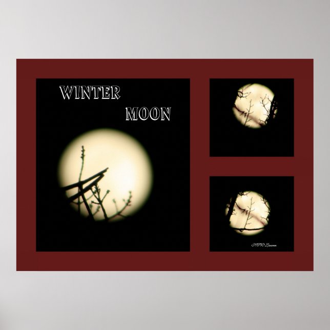 Winter Moon Collage Poster (Vorne)